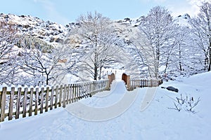 Winter scene of Wooden bridge in Gourette village